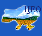 WWW.CEO.KIEV.UA